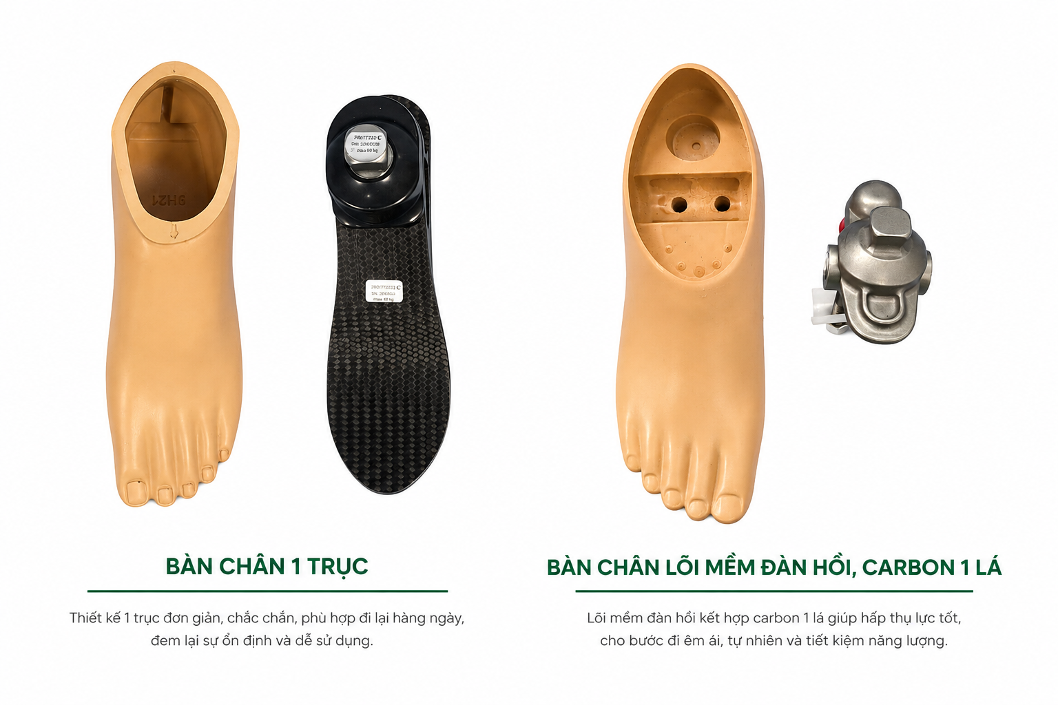 bàn chân giả carbon