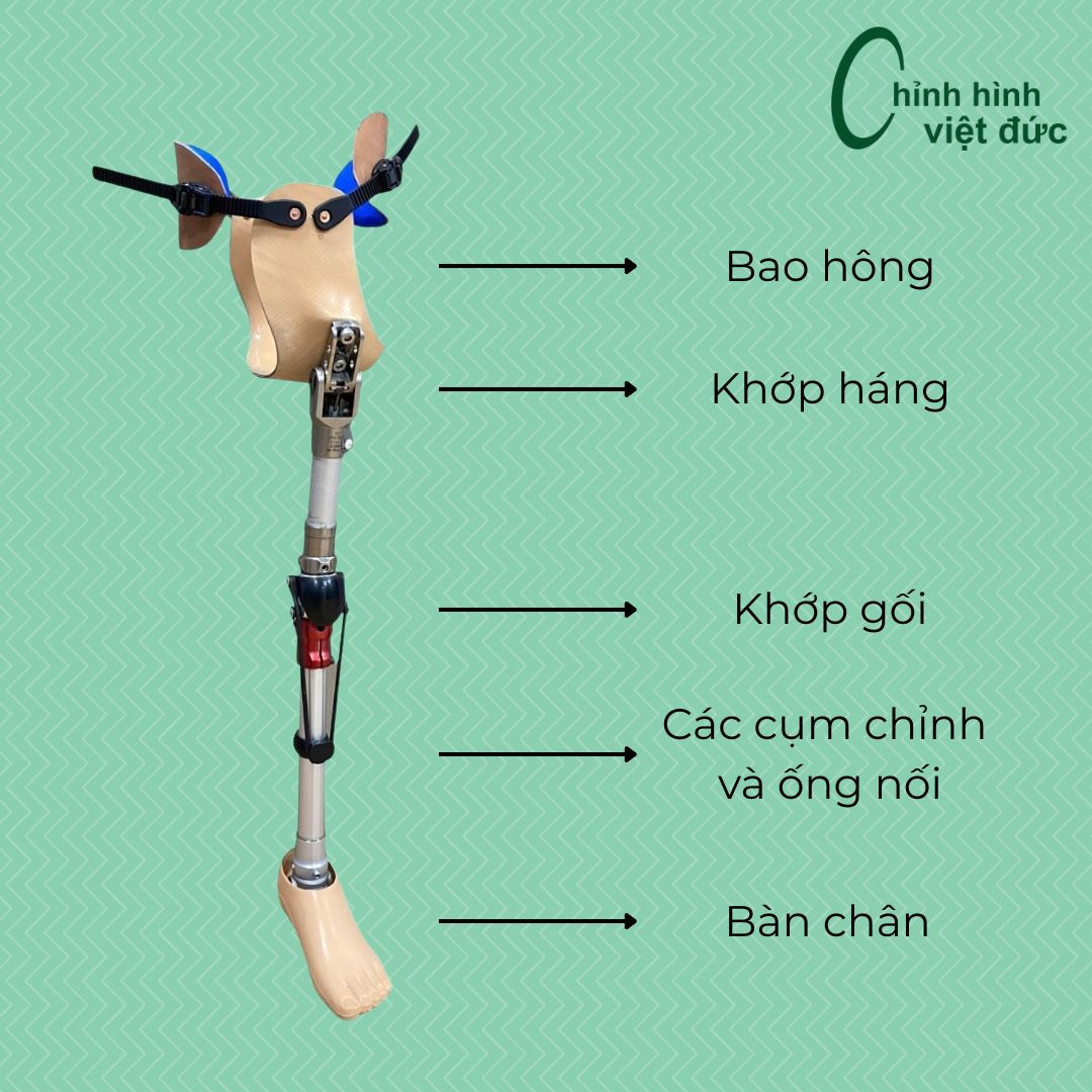 chân giả