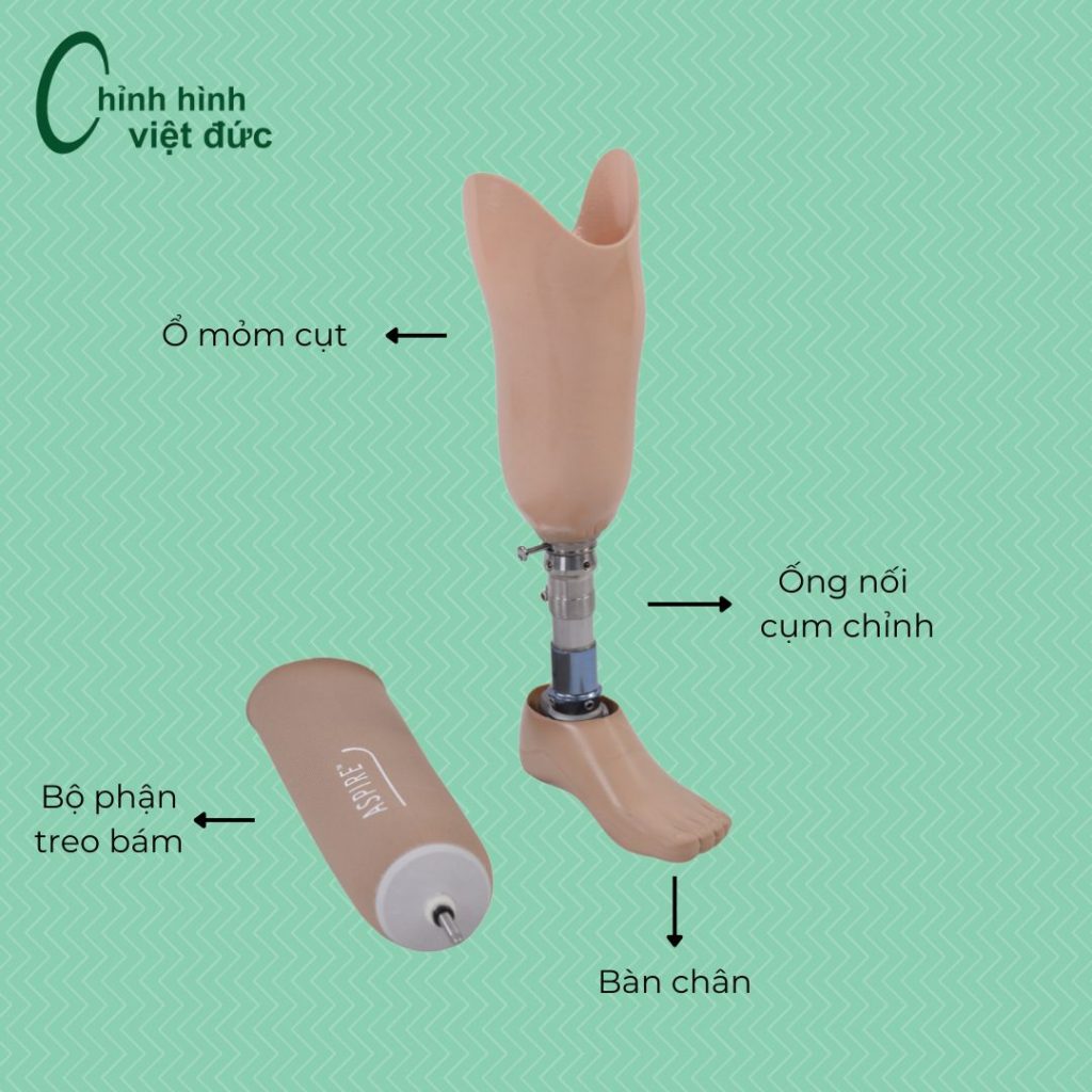chân giả