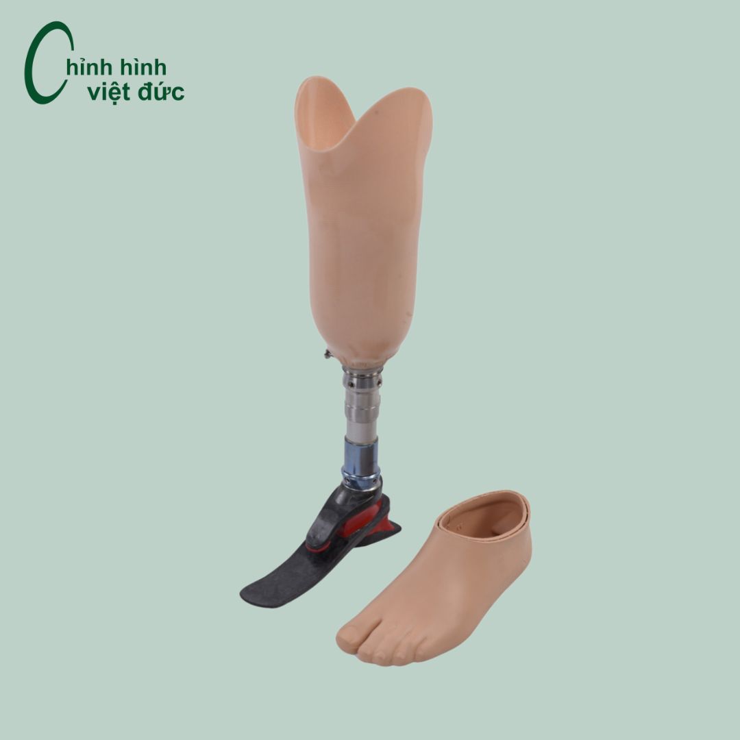 Mẫu số 3