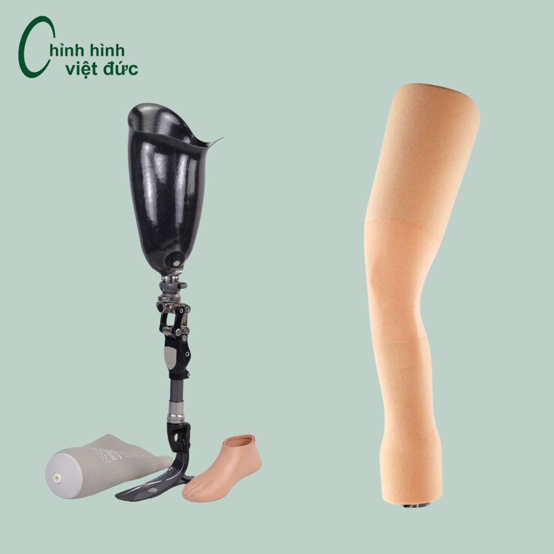 Mẫu chân số 5