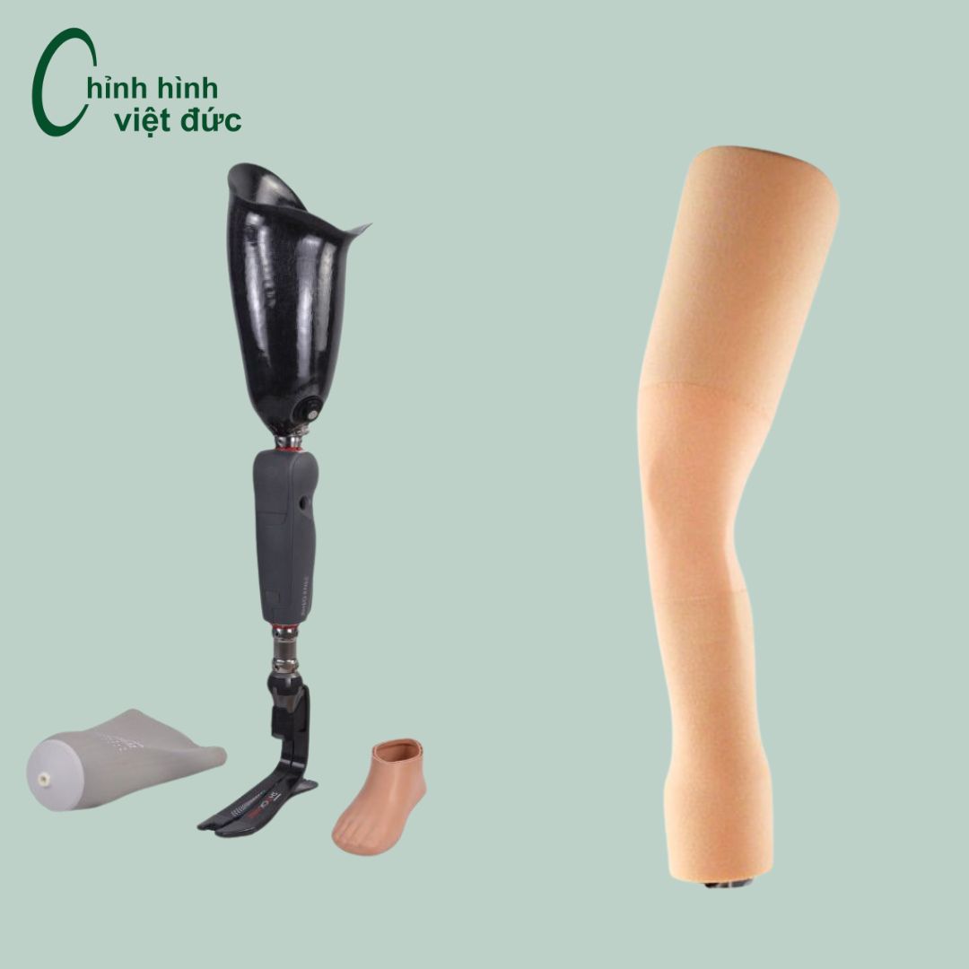 Mẫu chân số 8