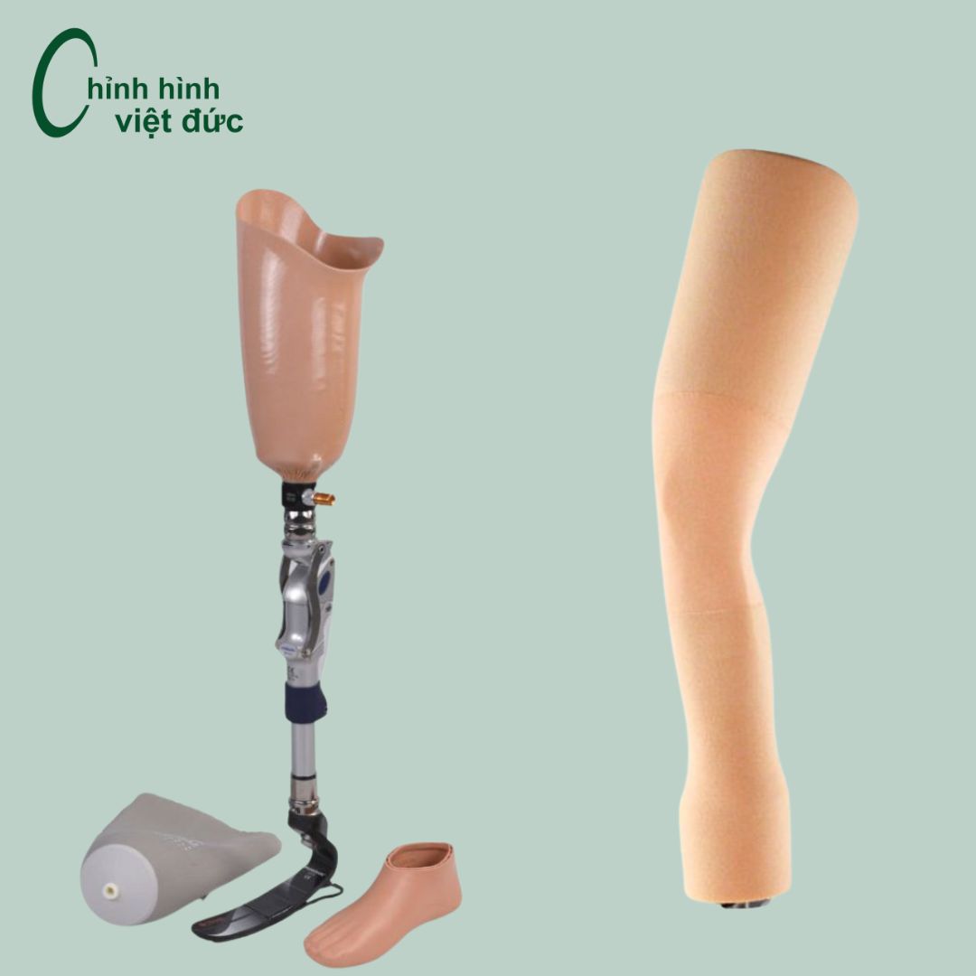 Mẫu chân số 4