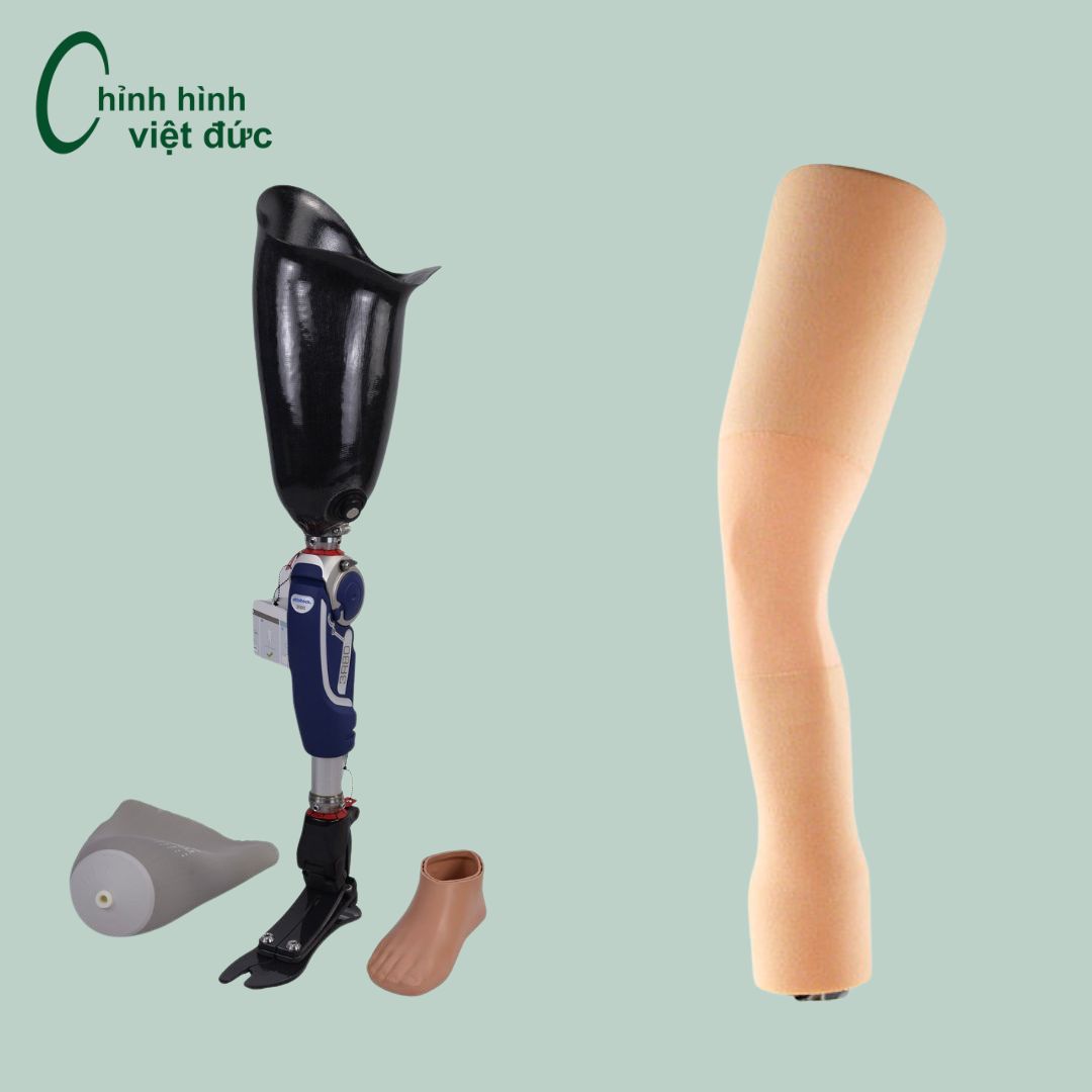 Mẫu chân số 6
