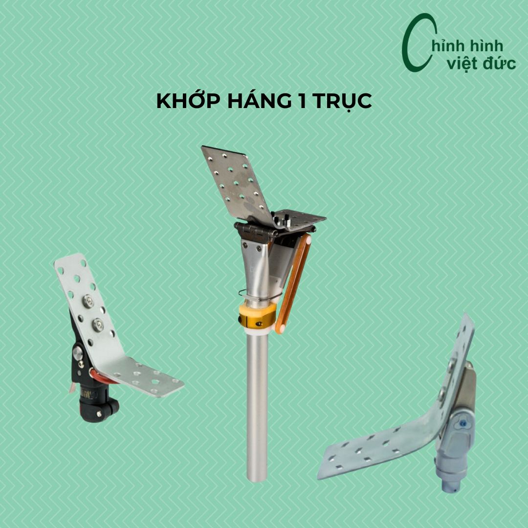 chân giả